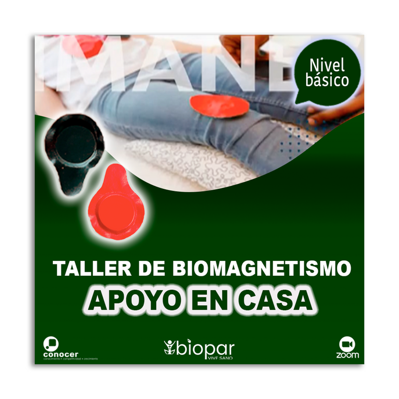 KIT 29 IMANES PROFESIONAL