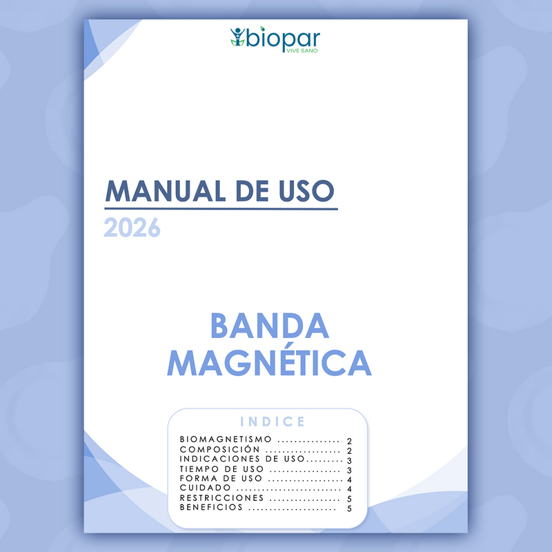 BANDA MAGNÉTICA